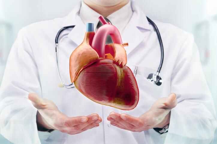 cardiothoracic surgeon