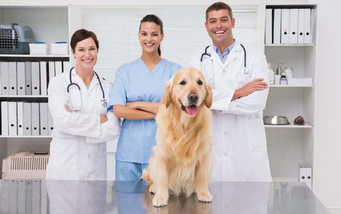 veterinarian-contact-list